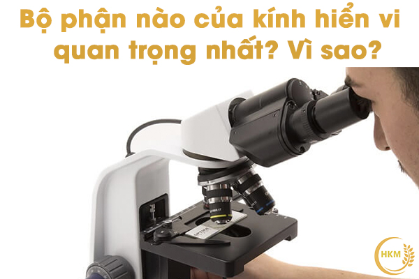 bộ phận nào của kính hiển vi quan trọng nhất?