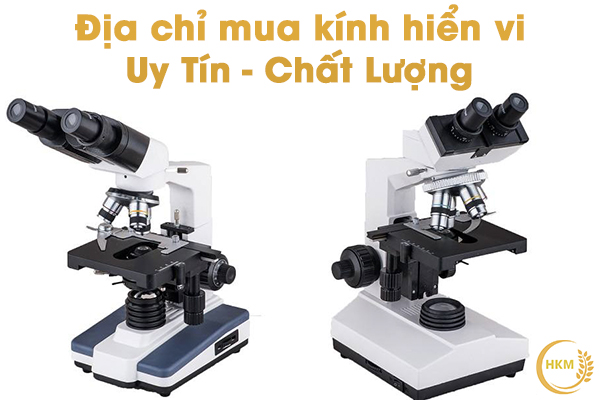 Địa chỉ mua kính hiển vi Chính Hãng, Uy Tín tại TP.HCM