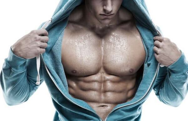 Các nhóm cơ trên cơ thể người