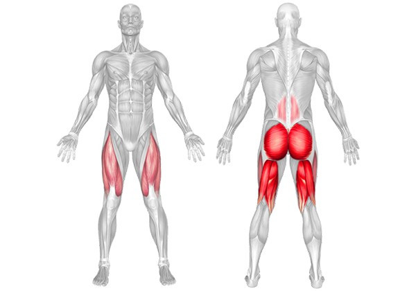 Những điều thú vị về các cơ