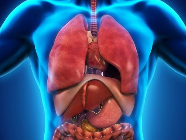 Cách để các cơ quan nội tạng con người luôn khỏe mạnh