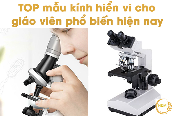 Những mẫu kính hiển vi cho giáo viên phổ biến hiện nay