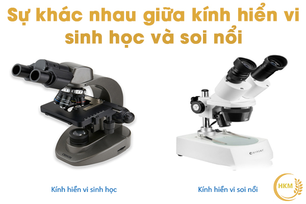 Sự khác nhau giữa kính hiển vi sinh học và kính hiển vi soi nổi