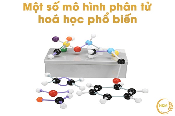 Một số mô hình phân tử hóa học phổ biến